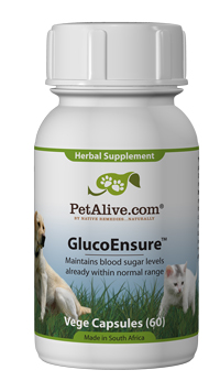 GlucoEnsure